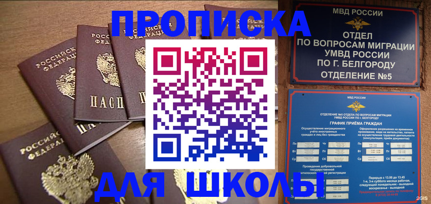 прописка гарантия в Шатуре